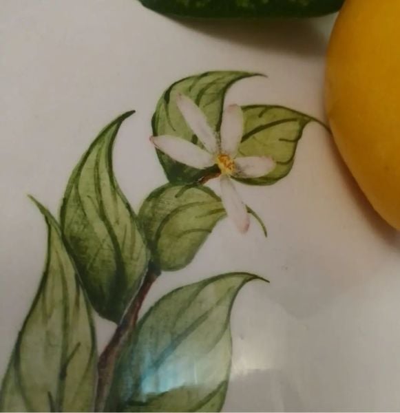 Limonlu Çini  Tabak